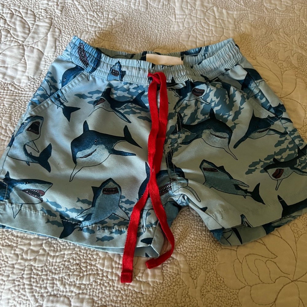 Boys Paper Wings Kids Classic Boardshorts - Sharks size 5